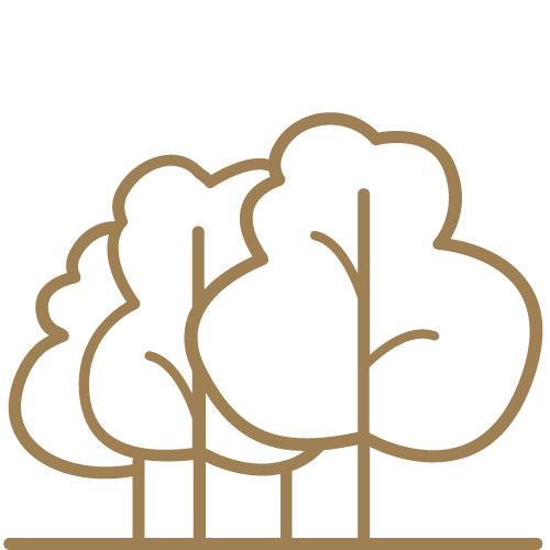 Puszcza Niepołomicka